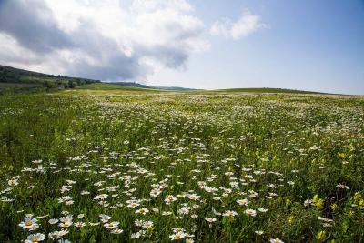 Прикрепленное изображение: IMG_0244.jpg